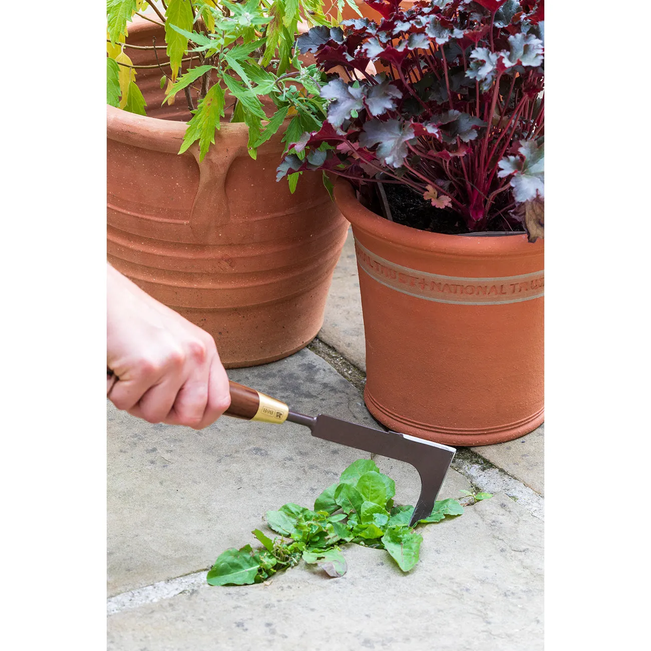 Patio Weeding Knife - National Trust