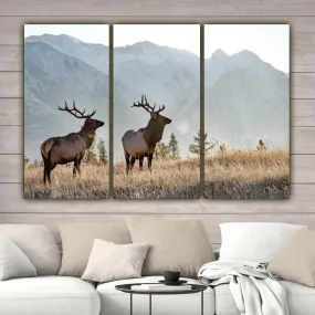 Rocky Mountain Elk Canvas Wall Art